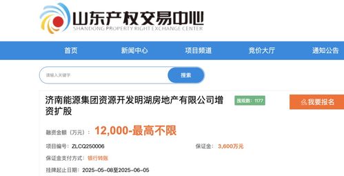 濟(jì)南能源集團(tuán)旗下明湖地產(chǎn)要增資擴(kuò)股引 戰(zhàn)投